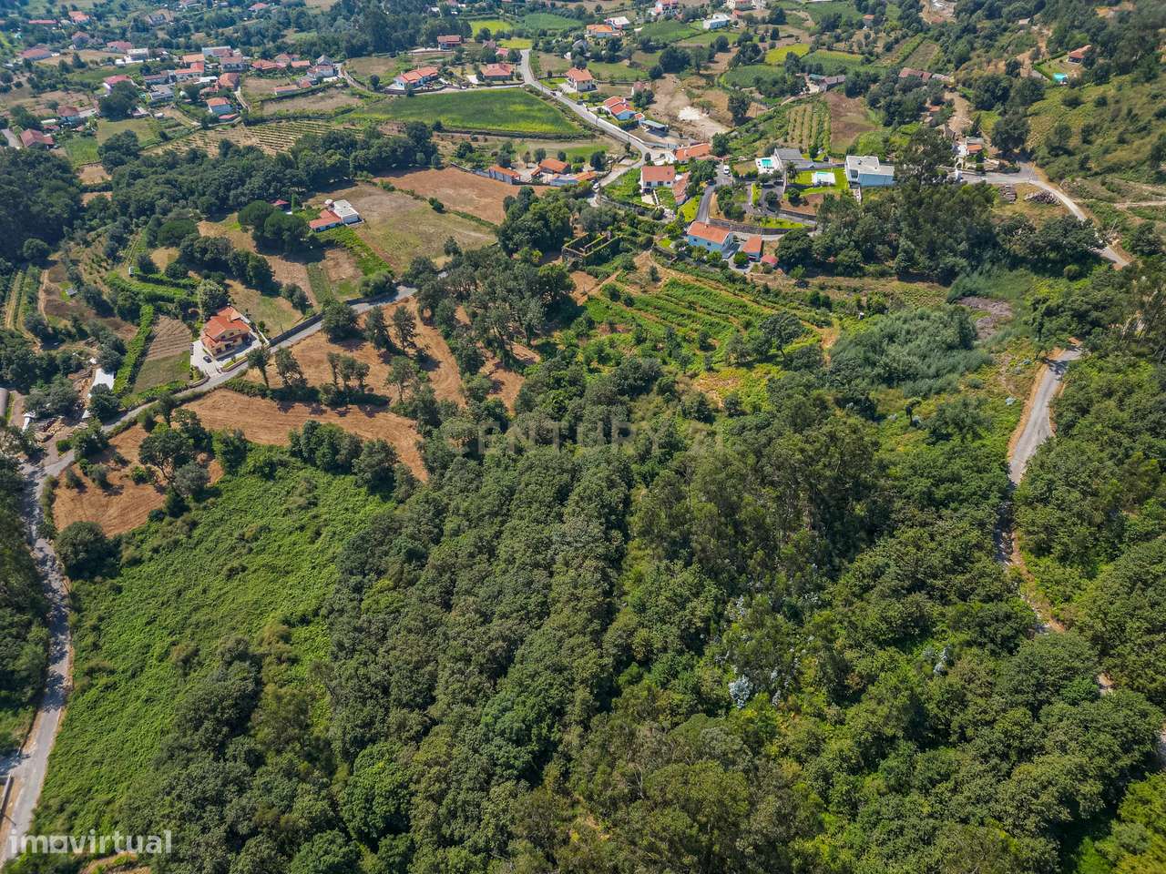 lagar em Ruínas com Vista Panorâmica em Anais, Ponte de Lima-3