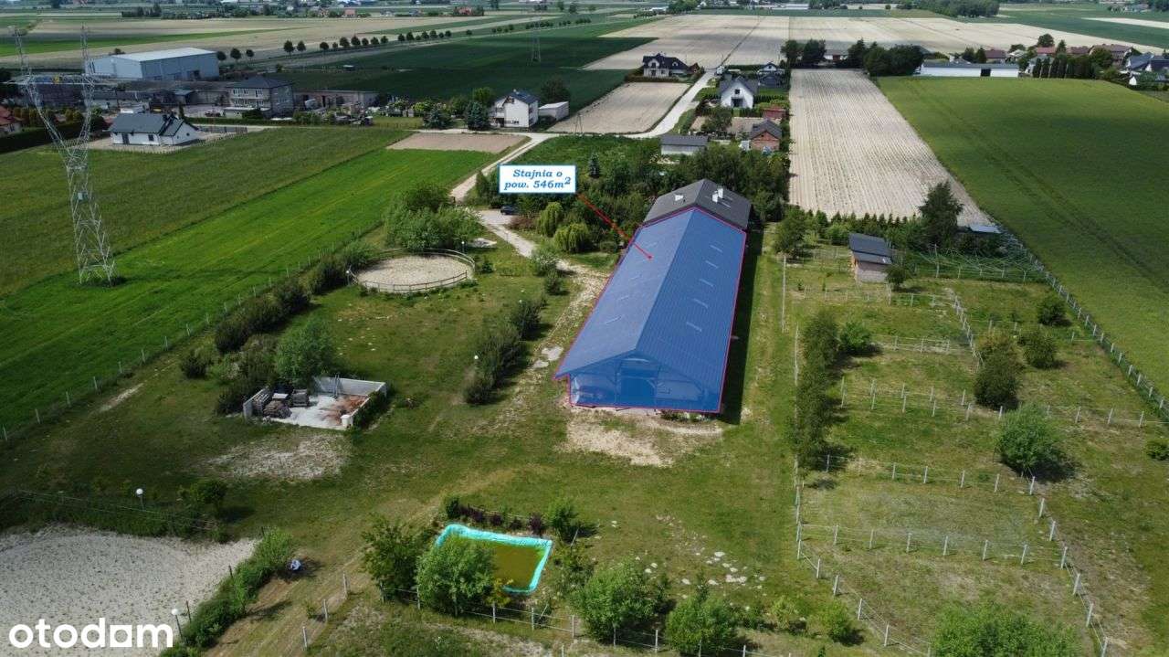 Stajnia z częścią mieszkalną, 20 min do stolicy - Pełny obrazek: 4/20