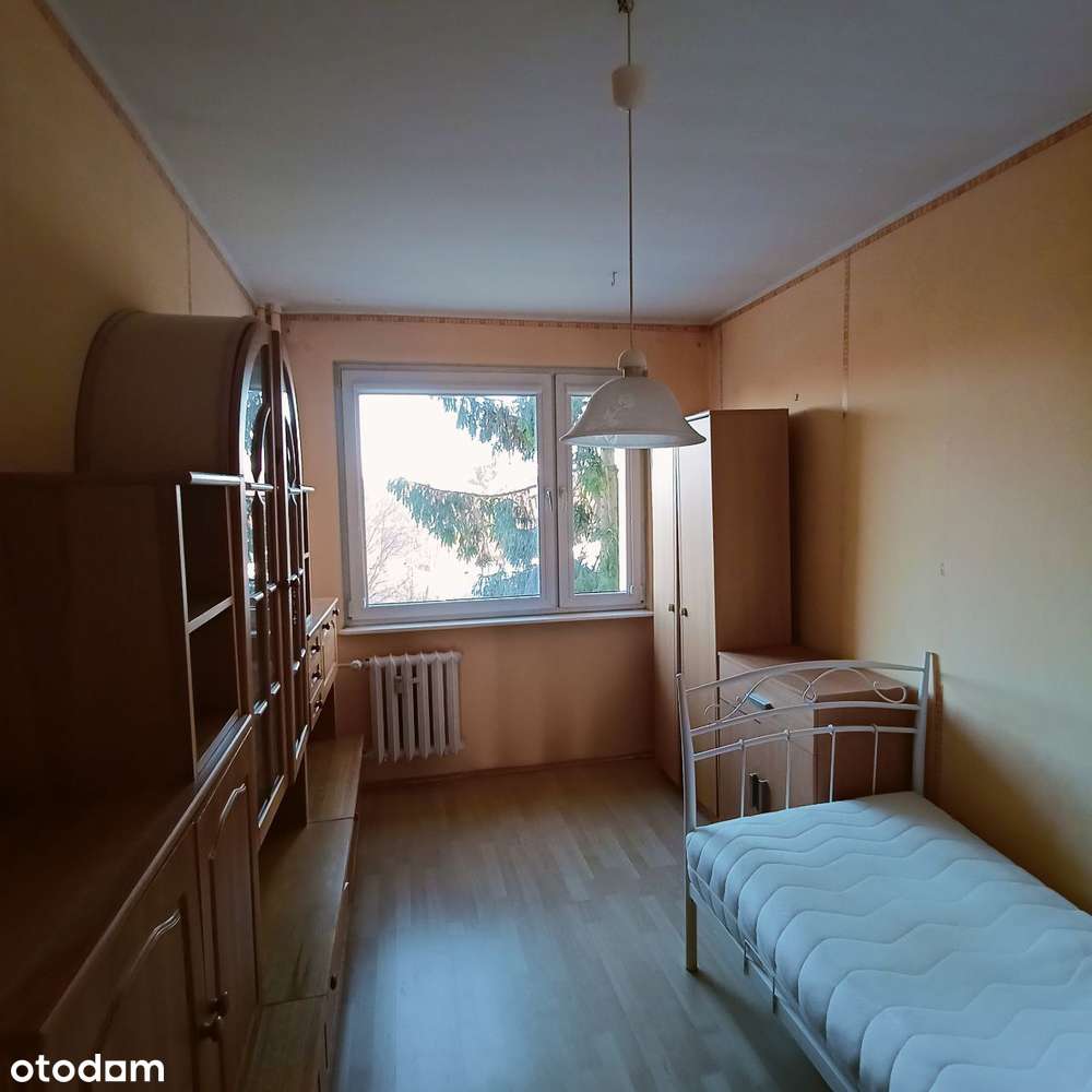 mieszkanie 3-pokojowe do remontu - Elbląg- Zawada, ul. Sz.Szeregów - Pełny obrazek: 3/8