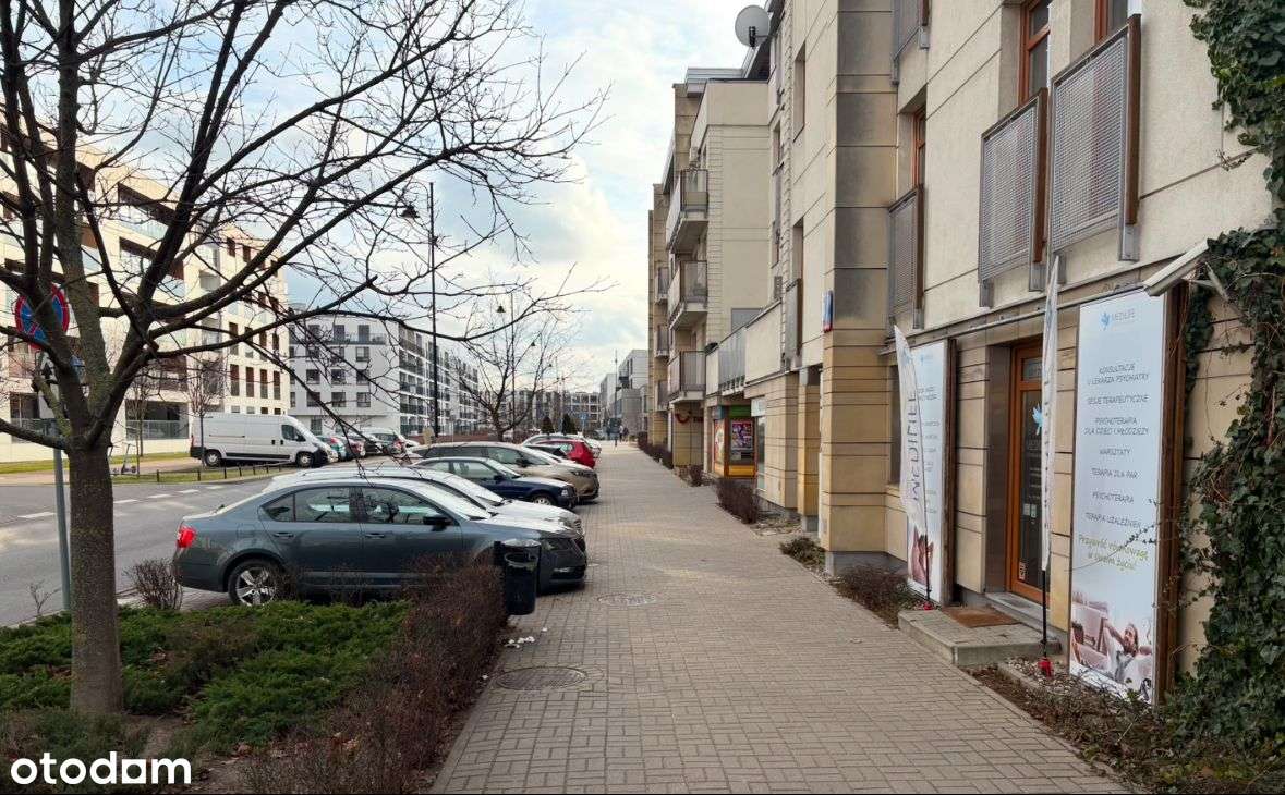 Lokal mieszkalny/ użytkowy na parterze z najemcą - Pełny obrazek: 3/3