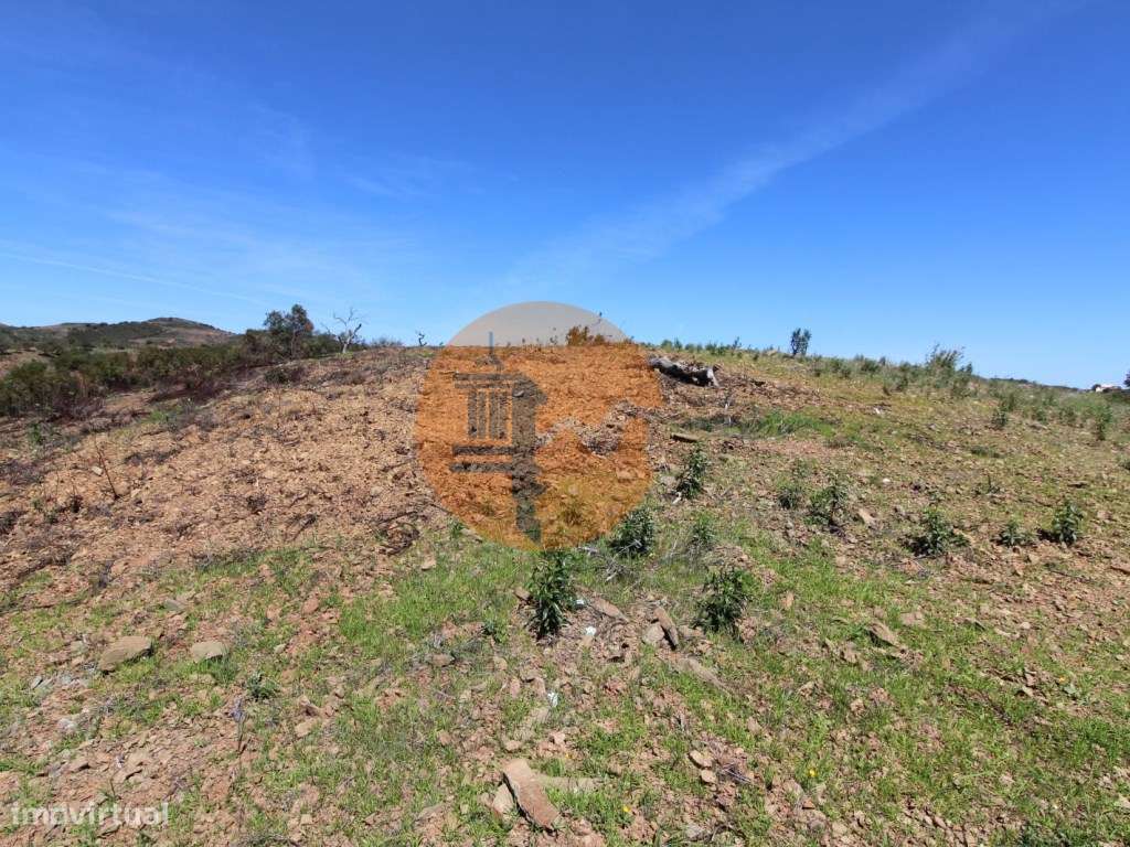 Terreno Misto com ruína zona da Conceição de Tavira, - Grande imagem: 4/22
