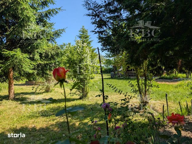 Teren pentru constructie casa in Faget-0