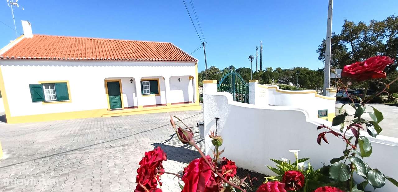 Moradia térrea isolada inserida em lote 2250 m2-21