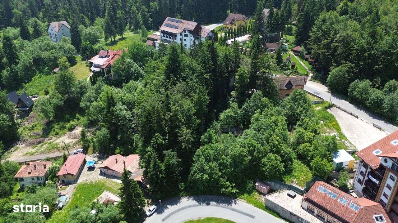 PREDEAL - Trei Brazi - Teren intravilan- 800 mp - Imagine principală: 3/20