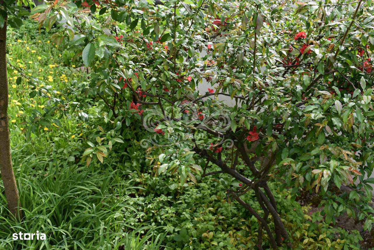 Vând Vilă deosebită cu 5 camere in Centrul Brașovului-13