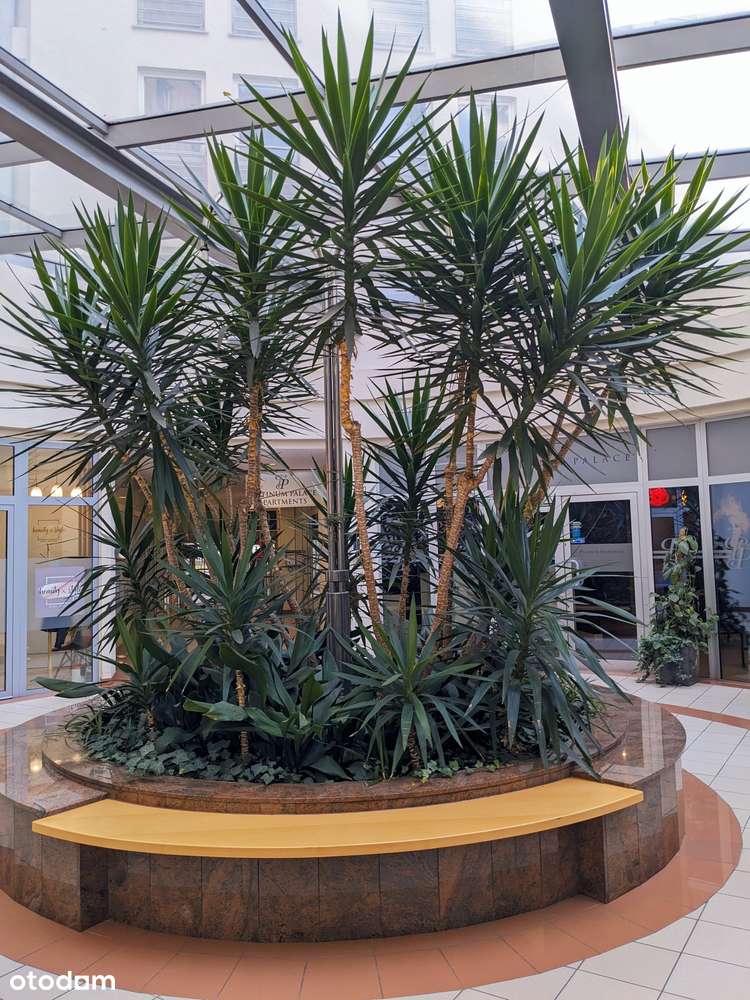 OKAZJA! Kawalerka obok STAREGO BROWARU ul. Piekary z miejscem park.-5