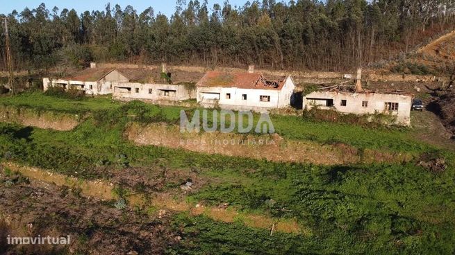 Quinta com 2 hectares para recuperar junto ao Rio Caima-11