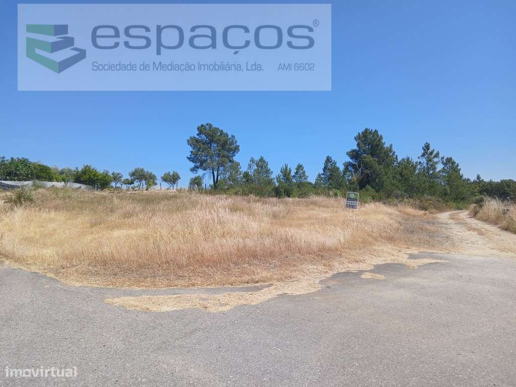 Terreno Rustico a 15km de Castelo Branco - Grande imagem: 3/9