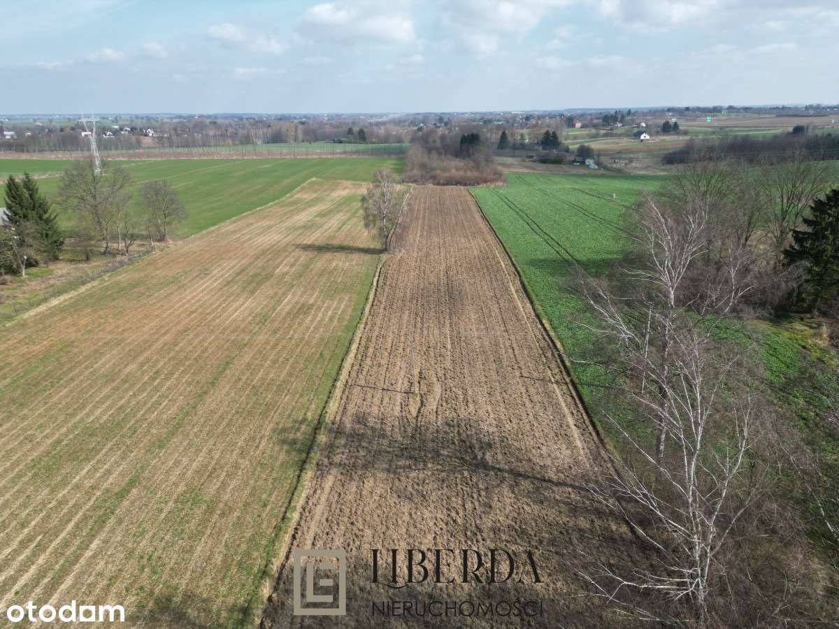 Działka Motycz Józefin - 5700 m2 - Pełny obrazek: 5/5