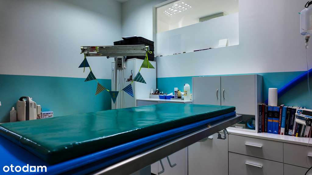 Wolnostojący budynek usługowy w atrakcyjnej lokali-10