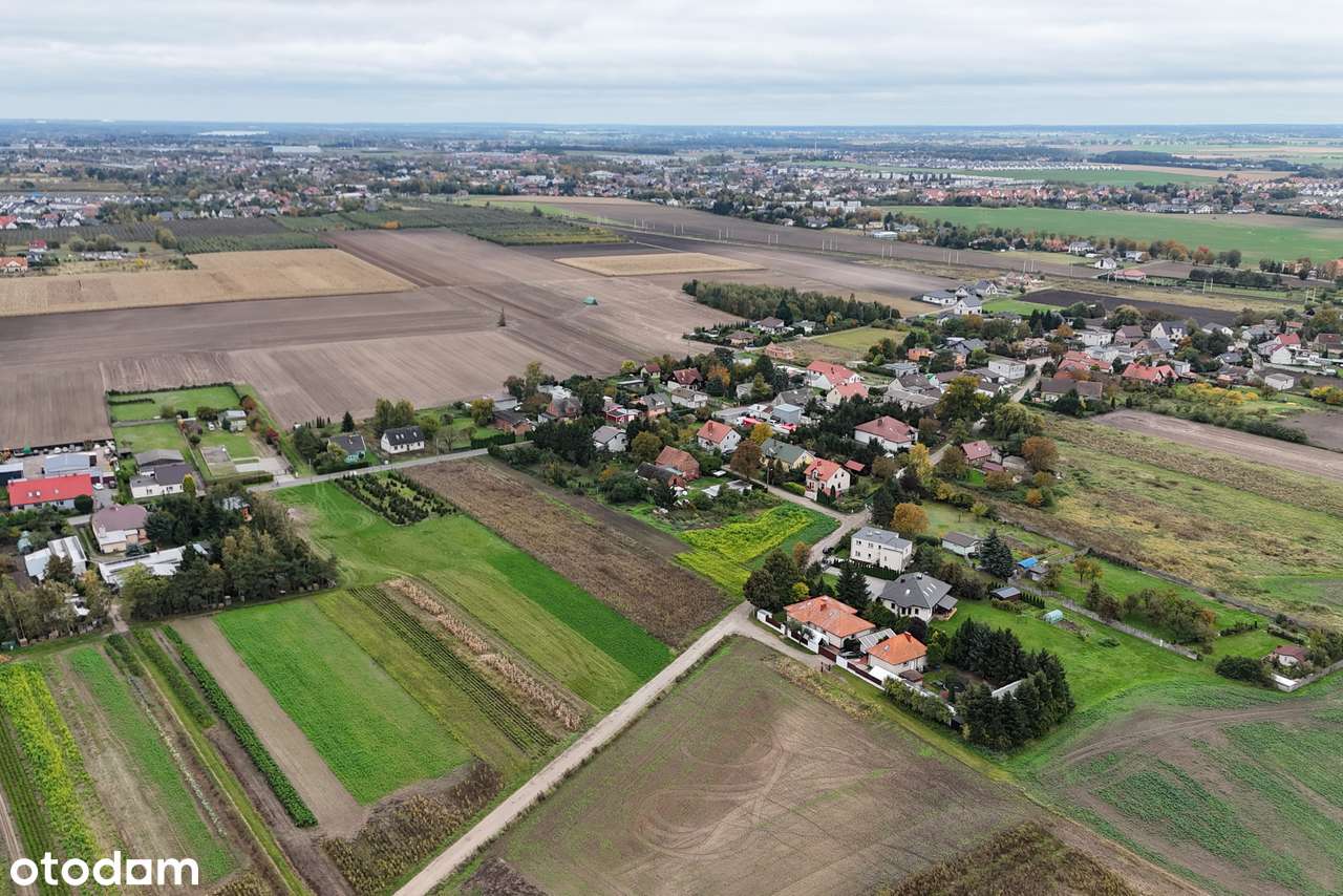 3 duże działki na sprzedaż w Krzyszkowie gm. Rokietnica - Pełny obrazek: 5/11