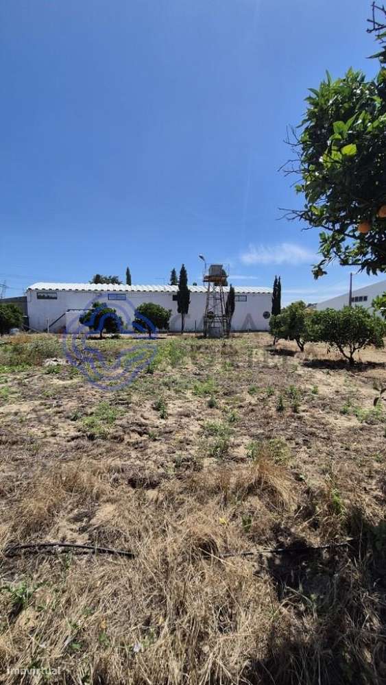 Terreno com armazém - Grande imagem: 5/13