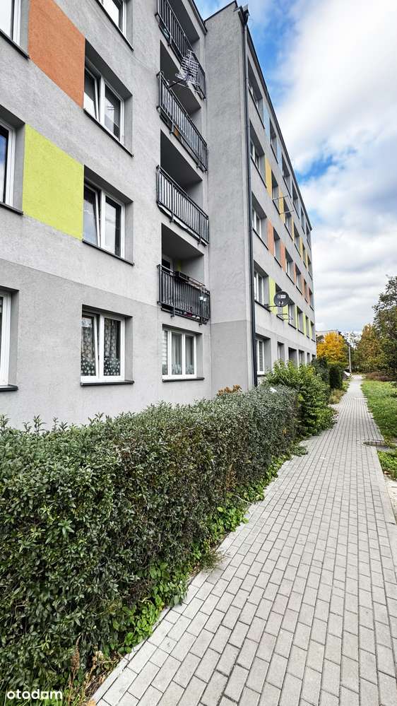 Zagórze, Sosnowiec, ul. Piękna - 2 pokoje do wynajęcia-5