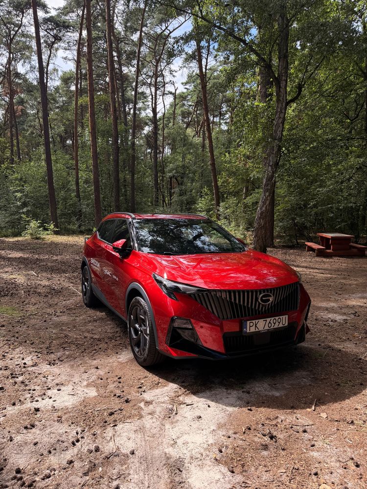 gac emzoom