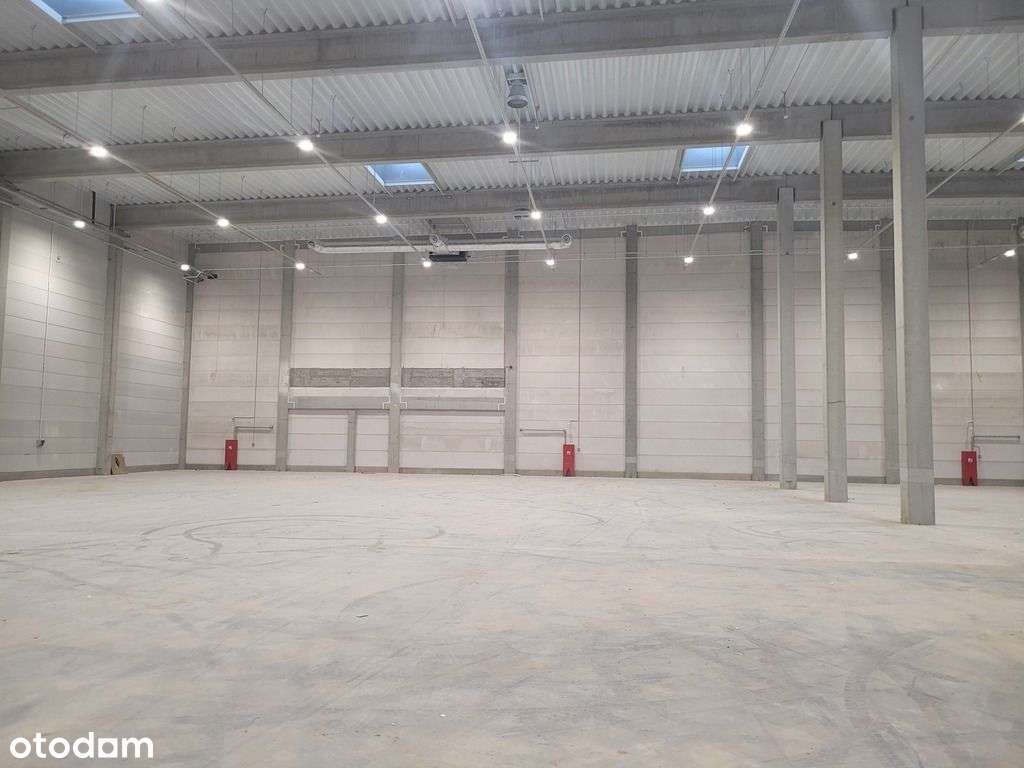 Moduły Magazynowe - Pełny obrazek: 2/18