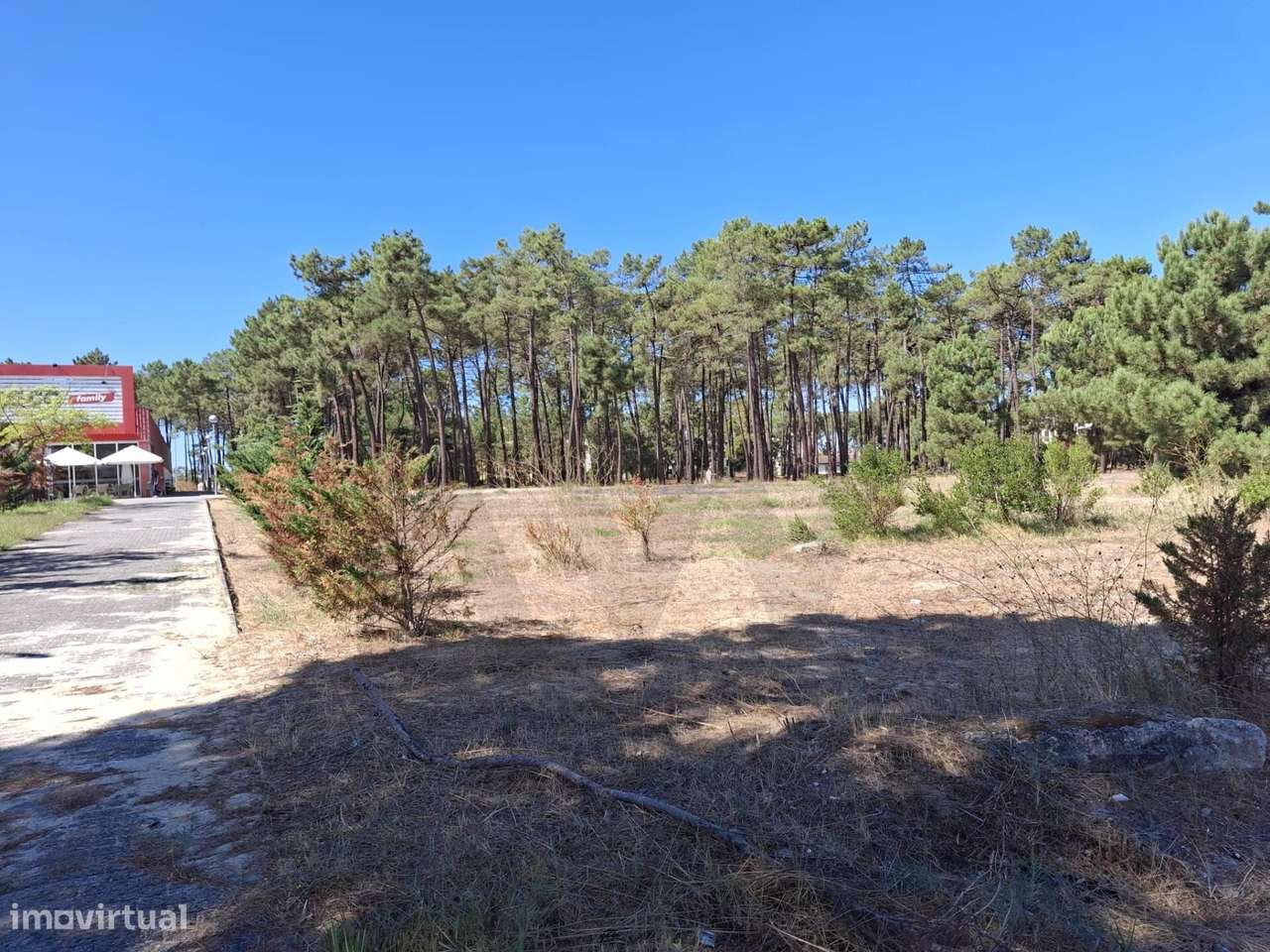 Oportunidade Única de Investimento — Terrenos no Pinhal de Negreiros - Grande imagem: 3/7
