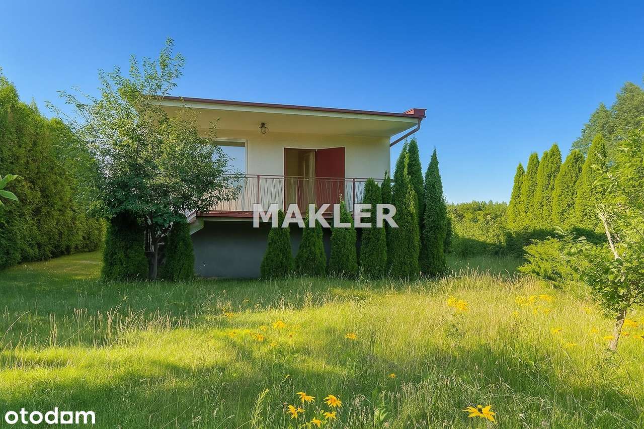 Działka ROD z domkiem w Żurczynie - Pełny obrazek: 5/9