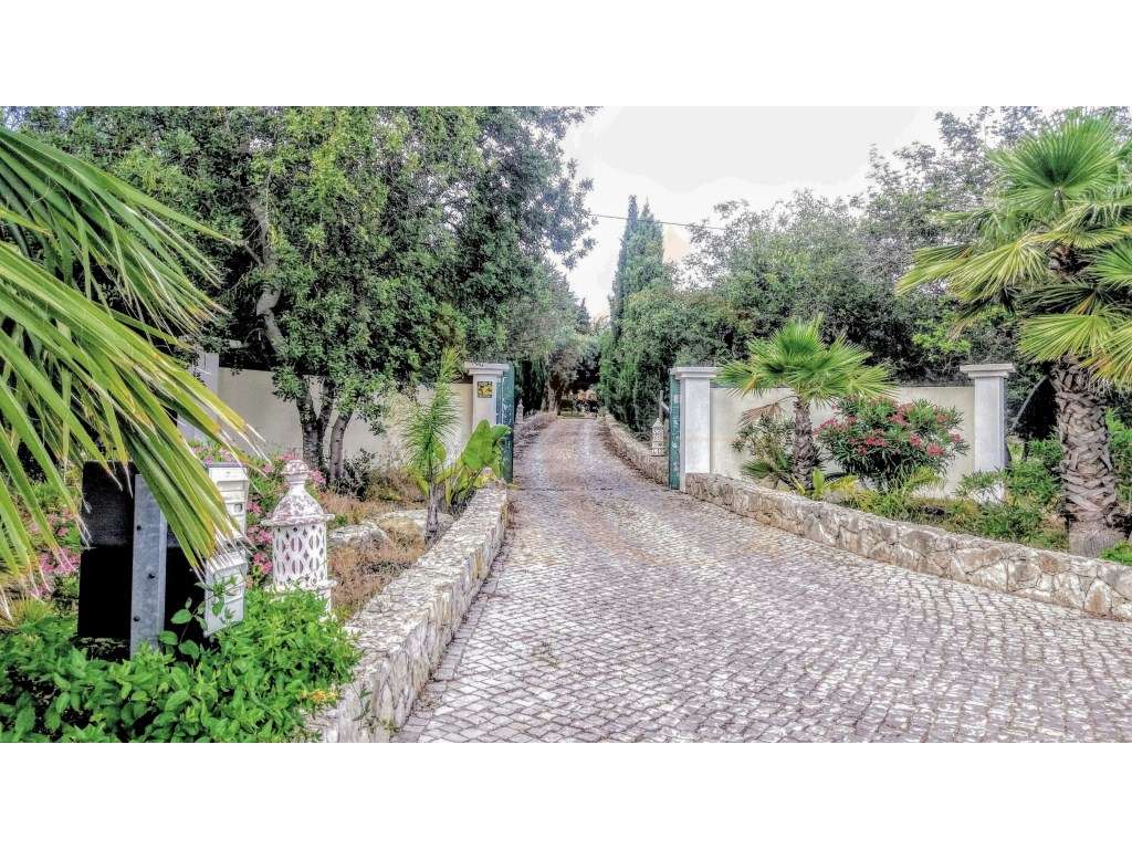 Excelente Propriedade Rural no Coração do Algarve-17
