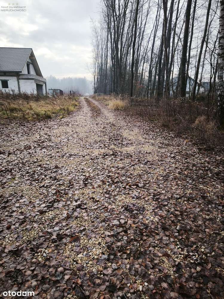 Dwie działki w kolejnej linii zabudowy Dzierżno-5