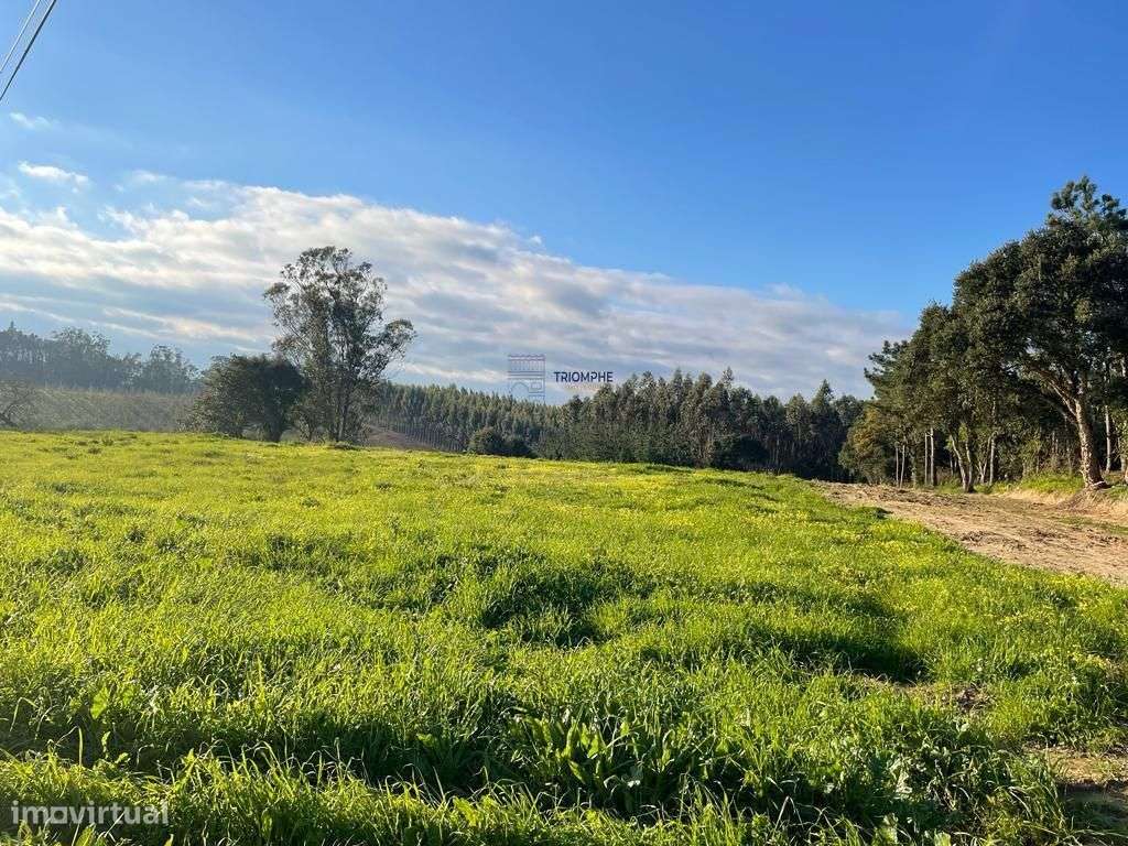 Terreno Viabilidade de Construção Moradia unifamiliar Alfeizerão - Grande imagem: 4/8