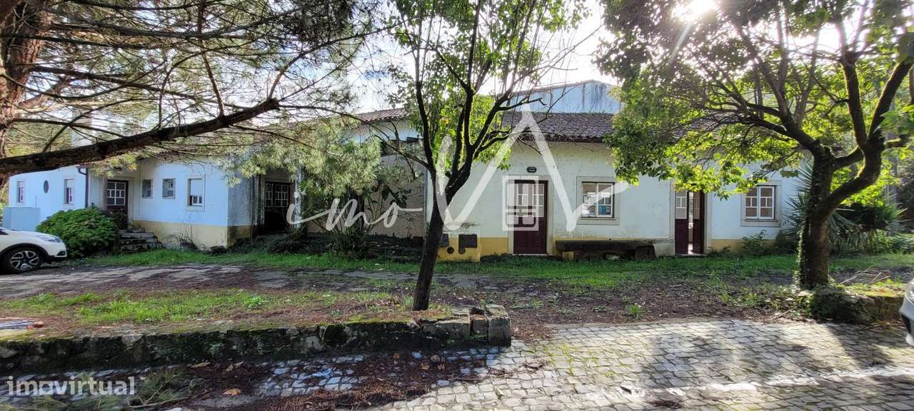 Restaurante Ribeira de Alge - Grande imagem: 2/39