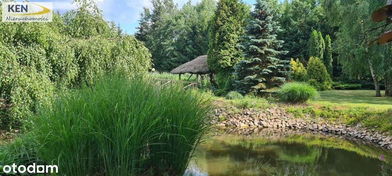 Wyjątkowa posiadłość w Niemczu - Pełny obrazek: 5/20