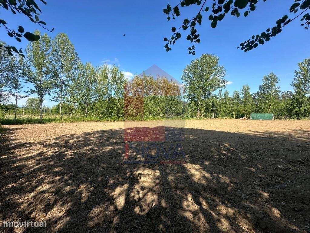 Terreno agrícola, Carreiras São Miguel - Grande imagem: 5/25