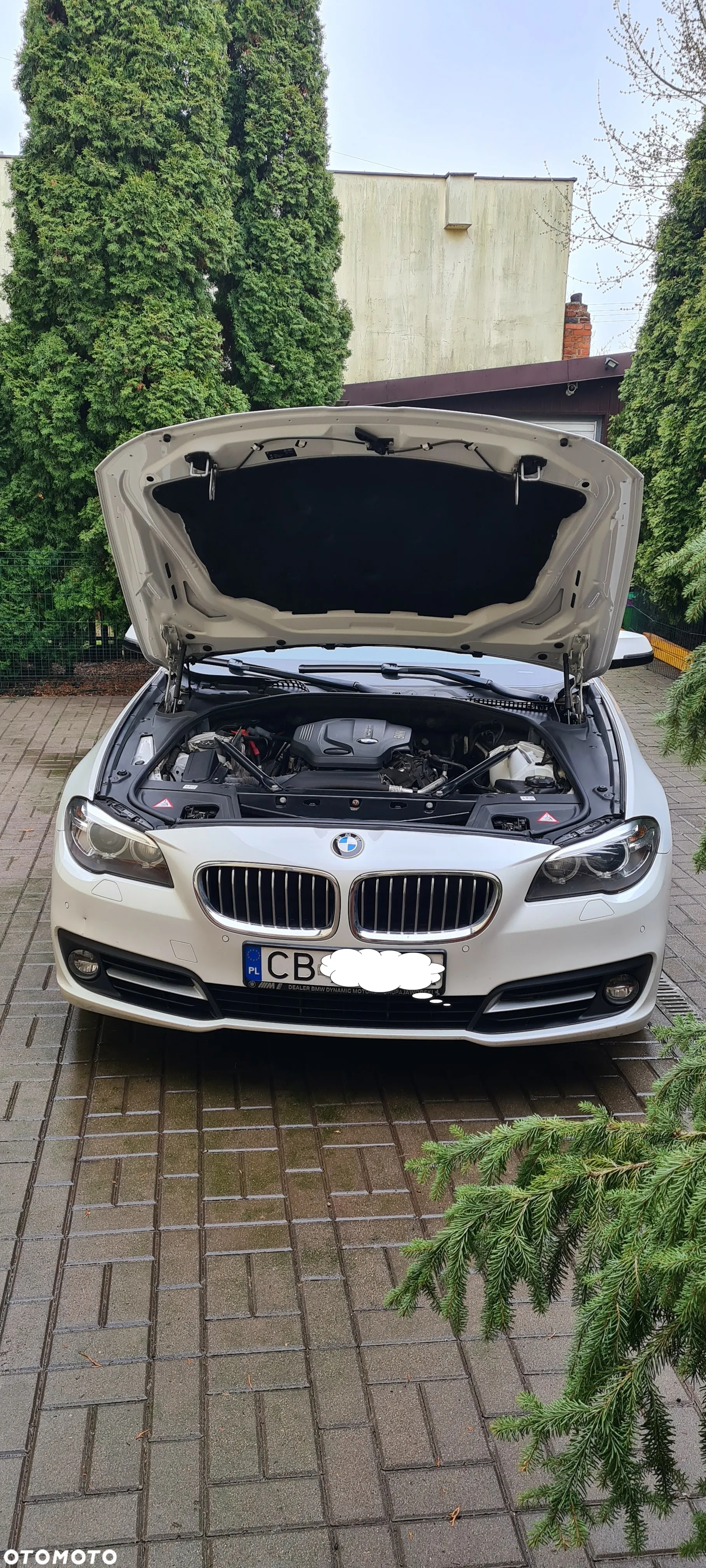 BMW Seria 5 520d xDrive Sport - 4