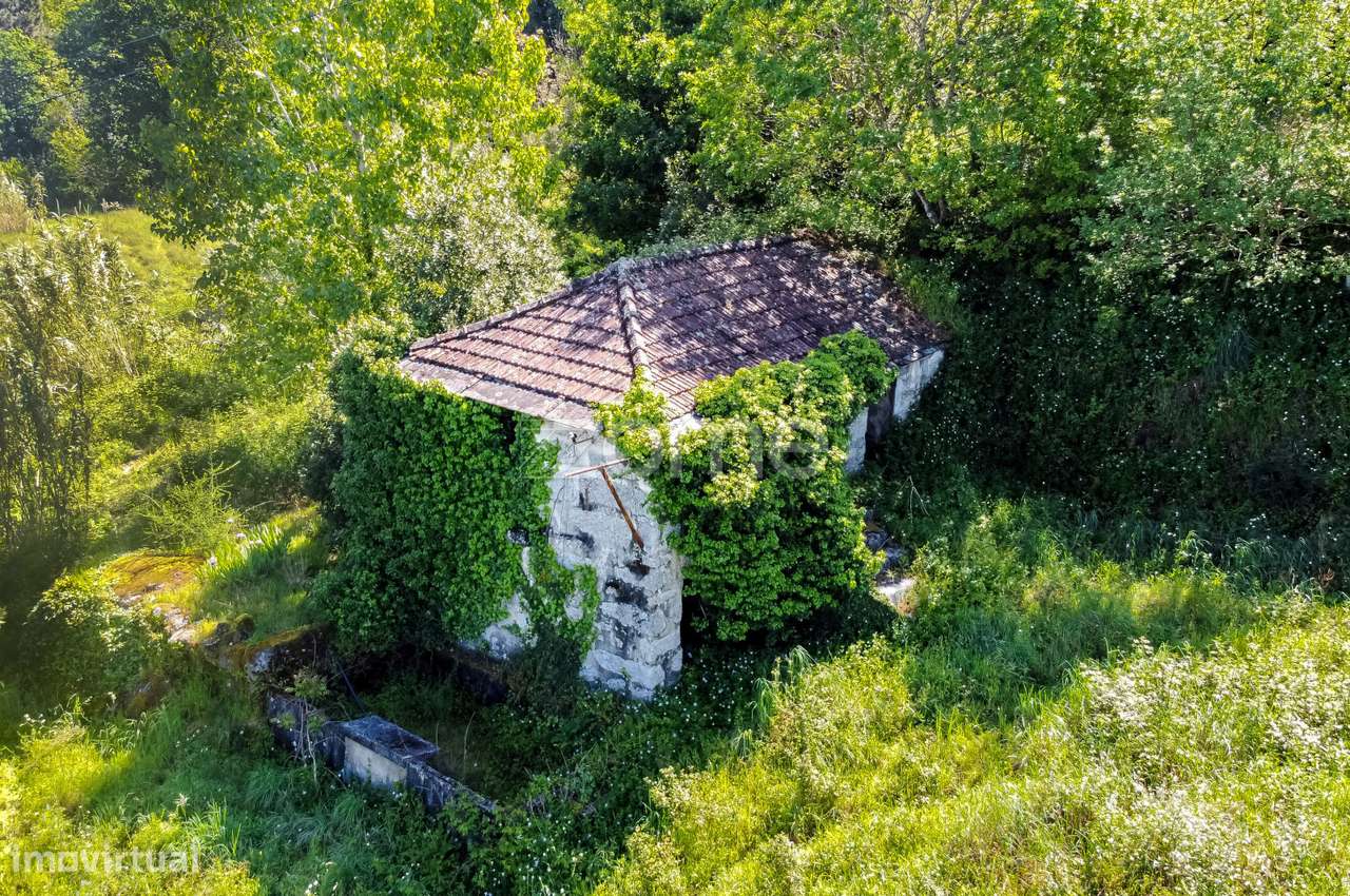Terreno com casas para restauro, Novios, Amarante - Grande imagem: 3/53