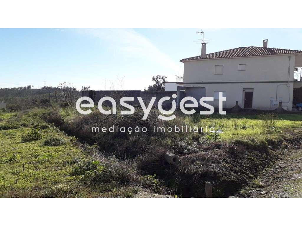 Terreno Construção de Moradia Isolada-Paião - Grande imagem: 2/4