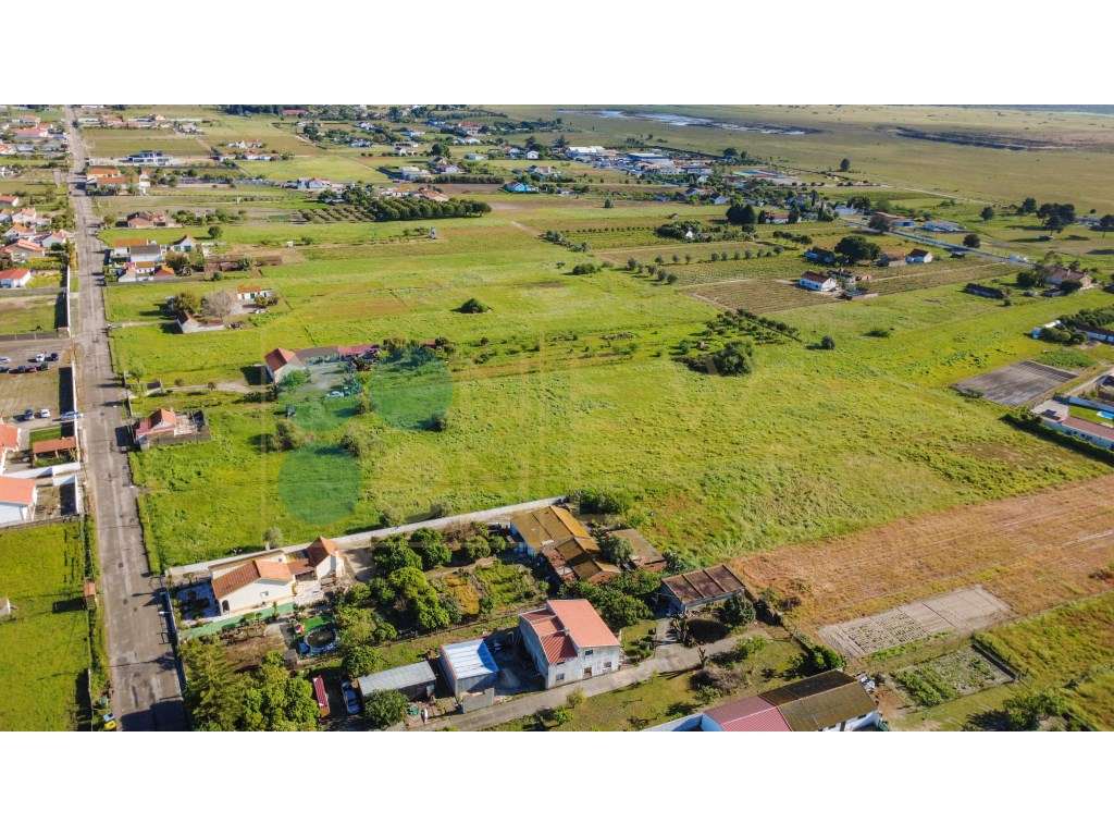 Construa duas casas num terreno único de 12.900m² em Arraiados-10