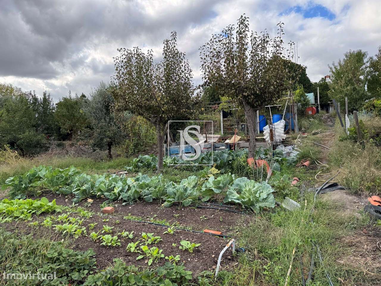 Quintinha em Tramaga-32