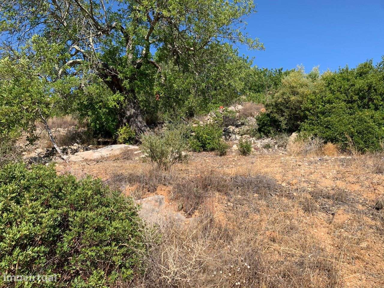 Terreno Urbano, com 3 artigos, Colmeal-24