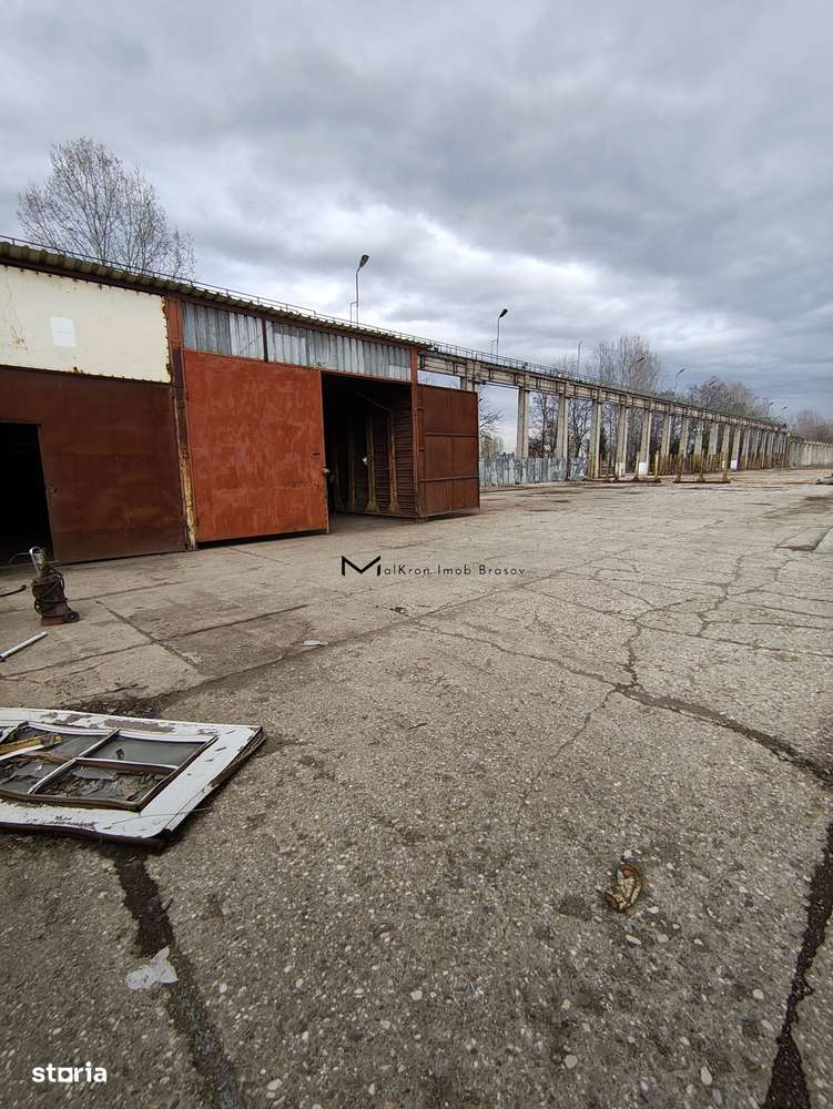 Hala industriala 420mp si Platforma betonata de inchiriat 10000mp - Imagine principală: 2/3