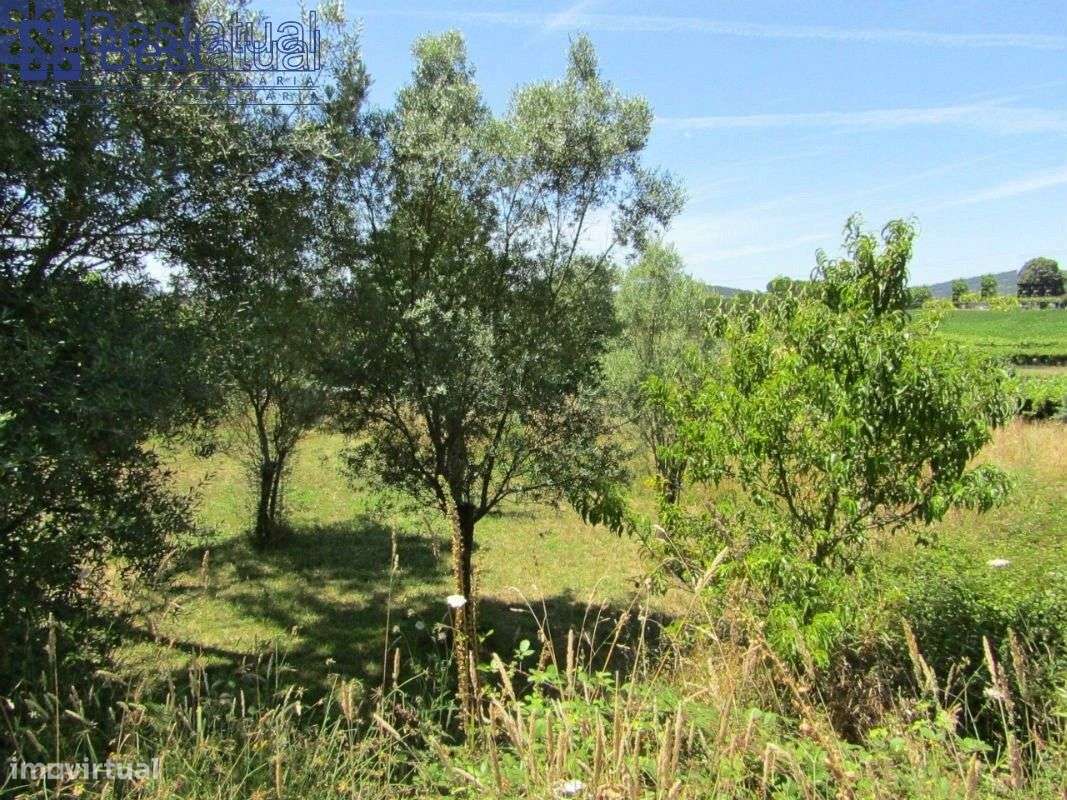 Terreno 4000 m2-c/1500 m2 de área p/construção Moradias-A 3 Min. do-23