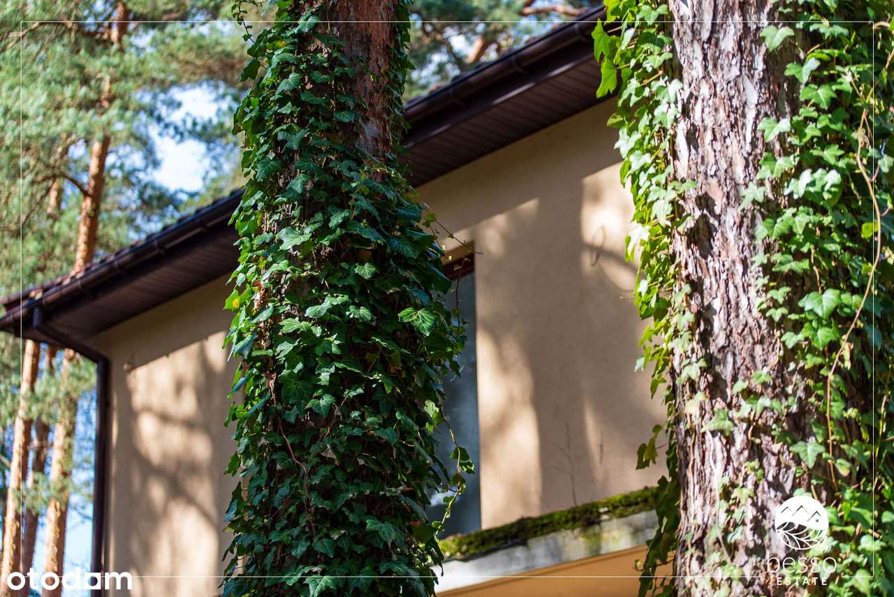 DOM W SERCU ZALESIA GÓRNEGO | SZYBKI DOJAZD DO WARSZAWY-11