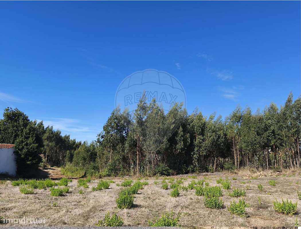 Terreno  para venda - Grande imagem: 5/6