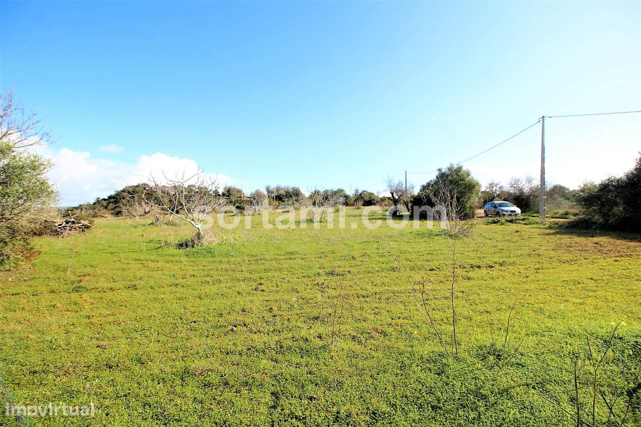 Terreno Rústico  Venda em Algoz e Tunes,Silves - Grande imagem: 3/9
