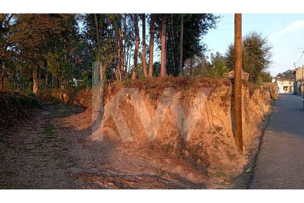 Terreno de construção em ponto alto com 2110m2 e 49 metros de frente d - Grande imagem: 5/13