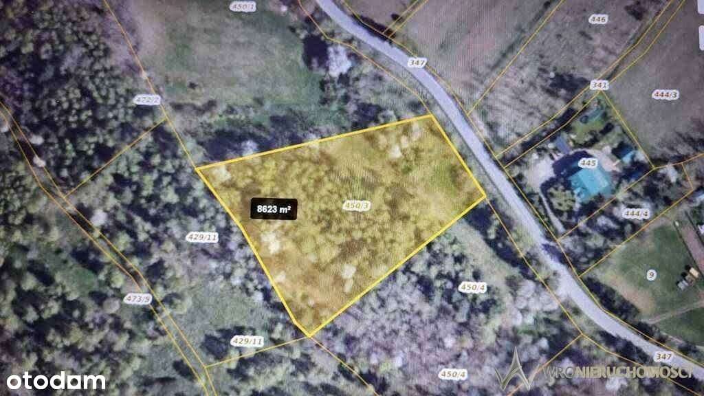 Działka | atrakcyjna | las | piękne widoki - Pełny obrazek: 4/12