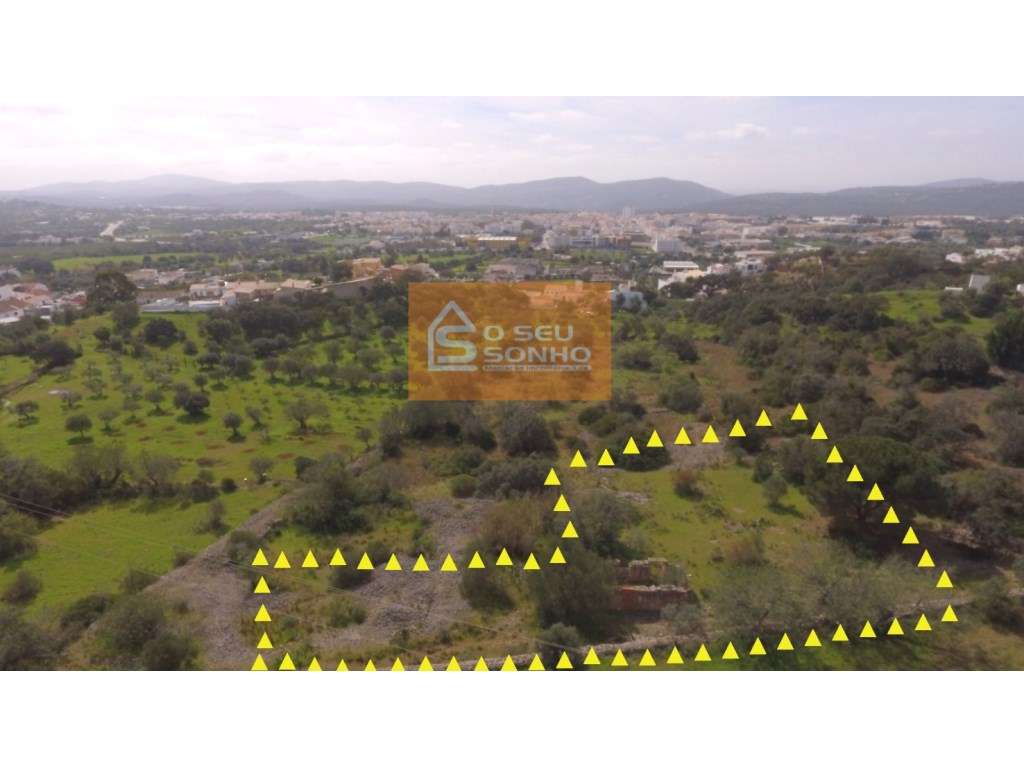 Terreno Urbano com Ruína - Grande imagem: 4/22