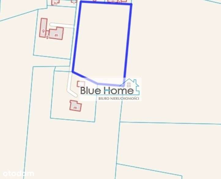 Duża dziaka z Warunkami Zabudowy - Pełny obrazek: 4/4