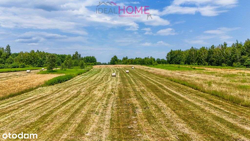 Działka ul. Jastrzębia Borek Wielki- Mpzp 1,1266ha - Pełny obrazek: 5/7