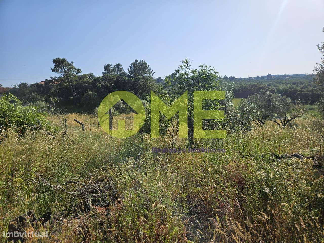 Barracão com terreno - Grande imagem: 5/10