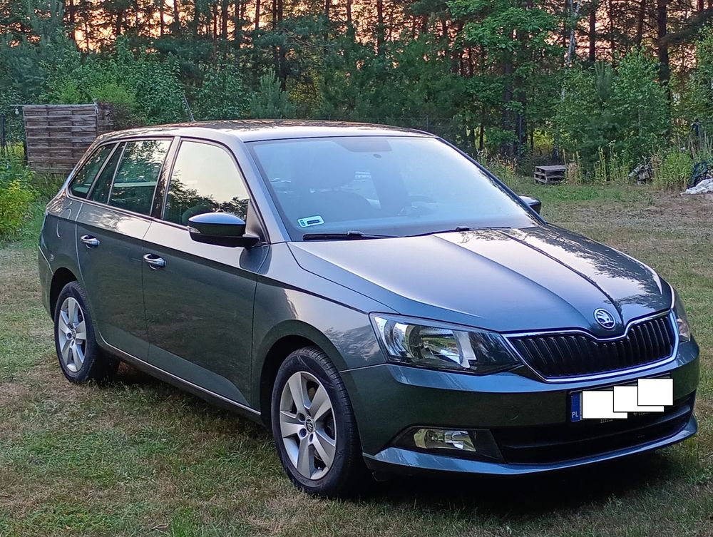 Skoda Fabia III (2014-2021) 2019