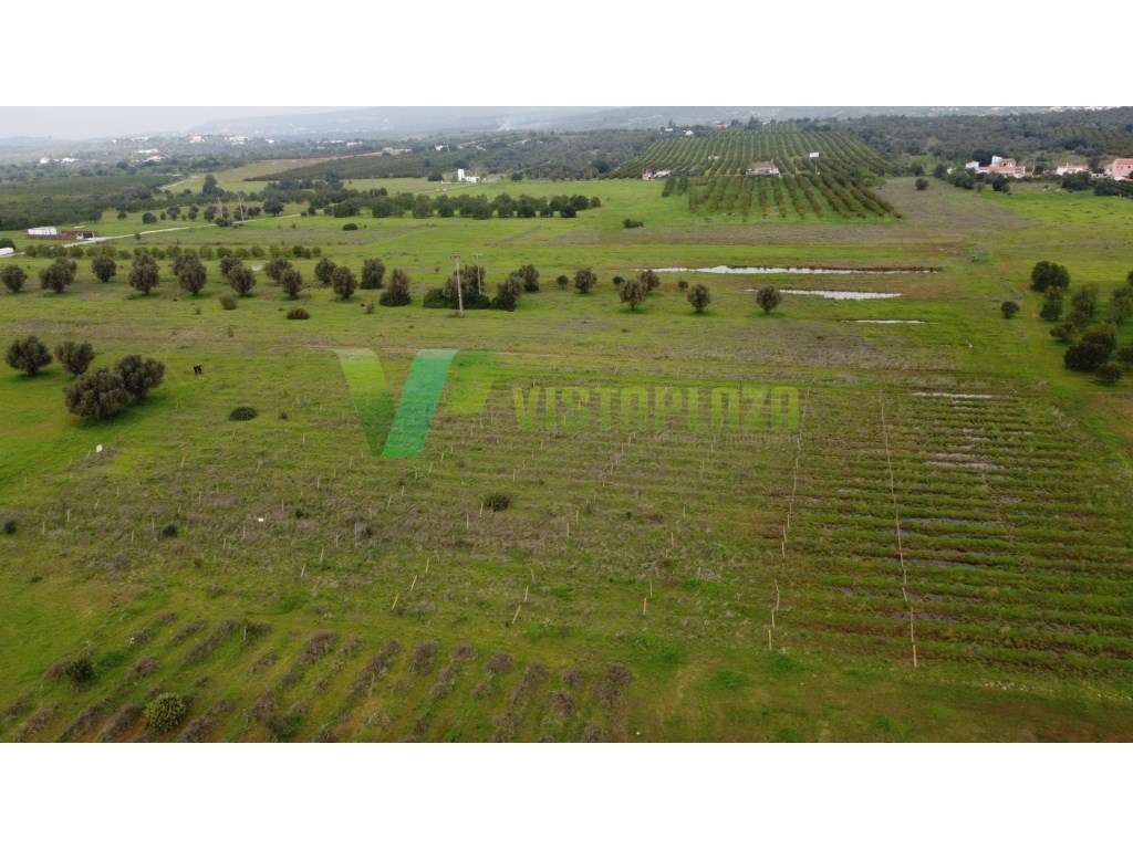 Lote de terreno rústico perto de Paderne, plano, vedado e com vista...-15
