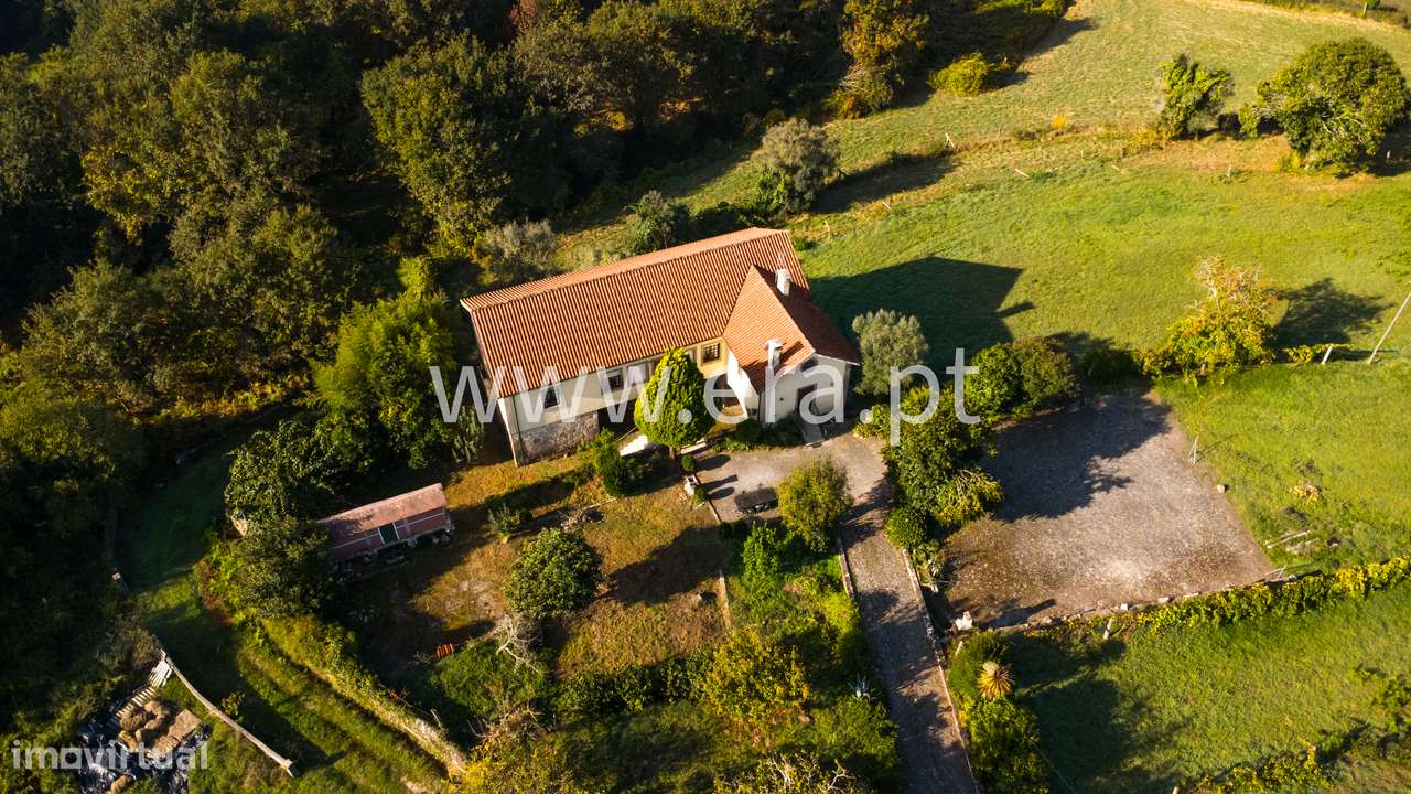 Quinta T4+3 com 14.000m2, Mentrestido VNC - Grande imagem: 3/20