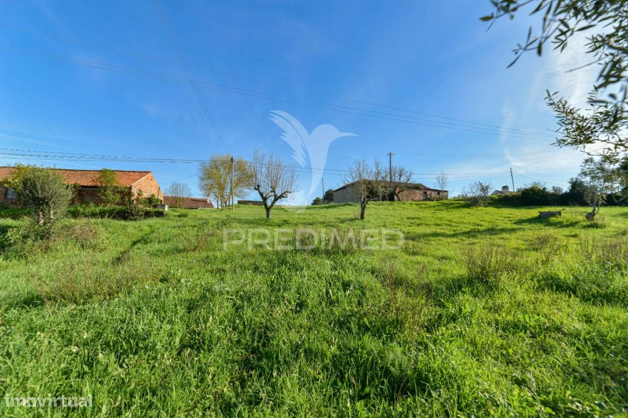 Terreno rústico de 6291m2 e 125m2 de área urbana, Portela - Grande imagem: 4/19