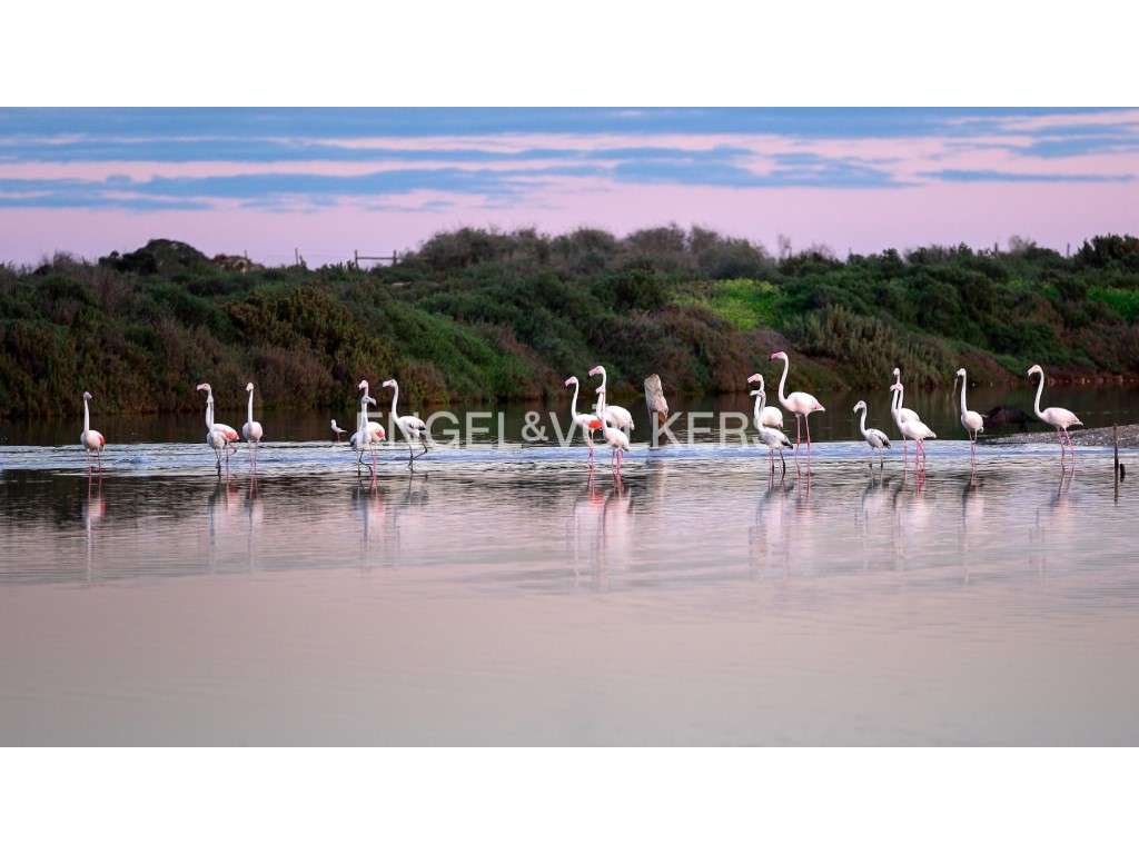 Viva com Elegância no Algarve - Tavira-31