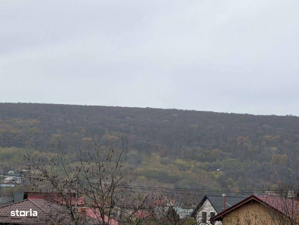 Locatie exclusivista ! Fii vecin cu padurea! - Imagine principală: 5/13